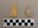 Biface projectile points