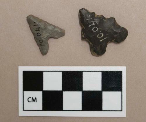 Biface projectile points