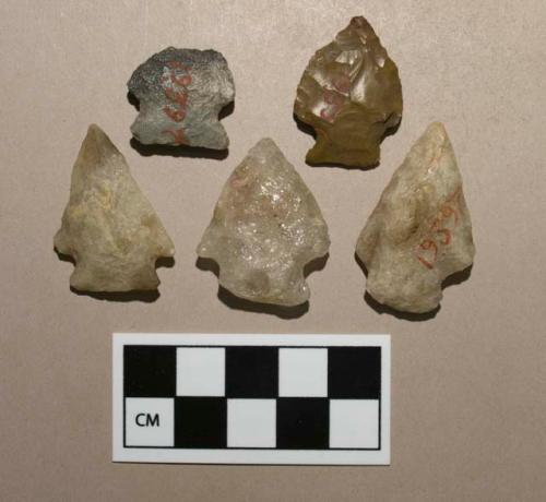 Biface, projectile points