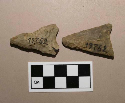 Biface, projectile points