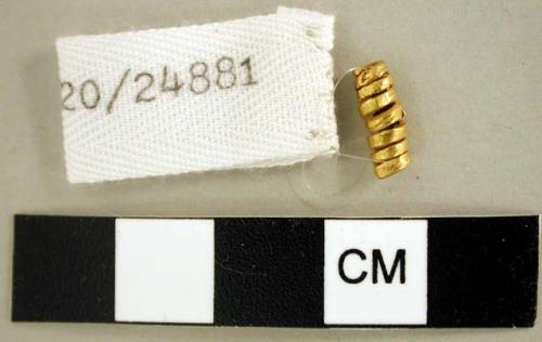 Small gold spiral bead, perhaps traded from Ecuador.