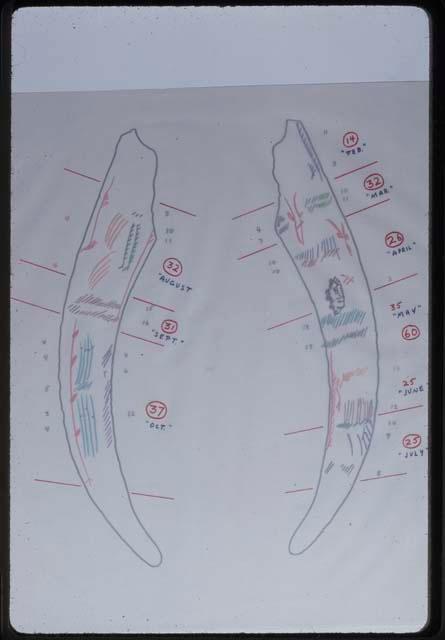 Cueta de la Mina Drawing