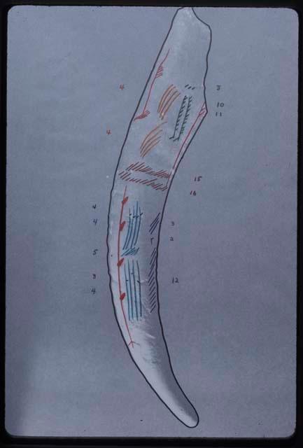 Cueta de La Mina overlay of bone