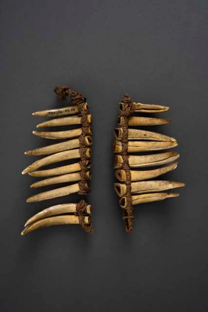 Boar tusk necklace