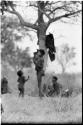 Boys dancing, seen from a distance (out of focus)