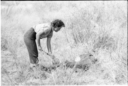 Elizabeth Marshall Thomas bending over to spray something