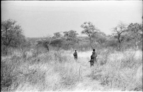 Two women and a child walking in the grass, seen from a distance