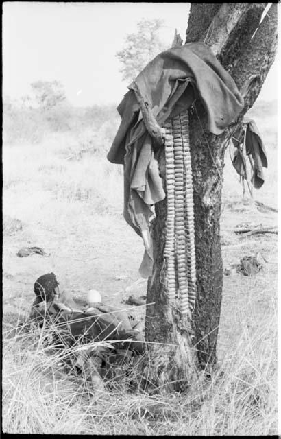 Rattles hanging from a tree, kaross and ostrich eggshell