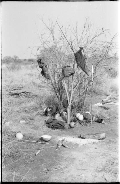 Belongings hung in bushes at a living place in a werft