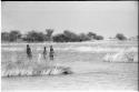 Boys wading through the water