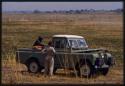 Lorna Marshall standing near Expedition Land Rover with other people, seen from behind