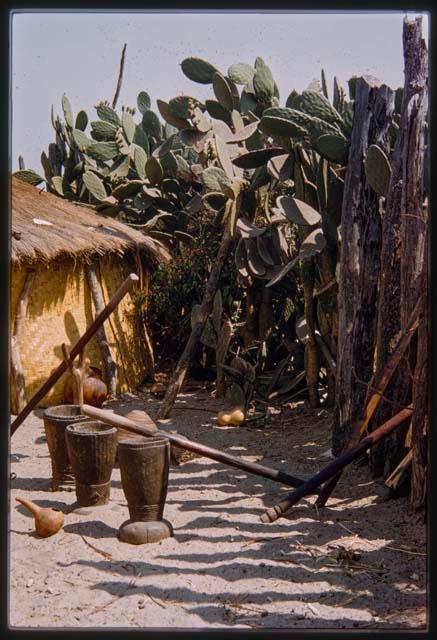 Stamping bowls in the village of Sechekele, with a hut and cactus in the background