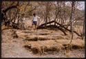 Lorna Marshall and Pedro Imiljo standing together in Imiljo's garden