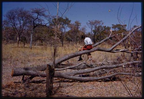 Deborah Marshall sitting on a log, seen from behind