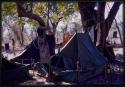 Tents in the expedition camp