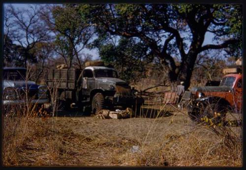 Trucks in the expedition camp