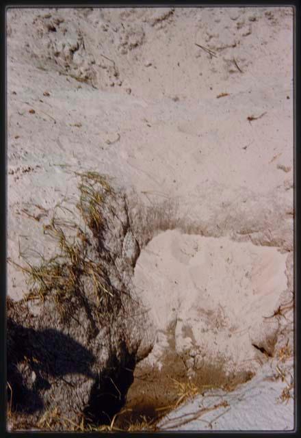 Waterhole near pan on the way to Chimberanda