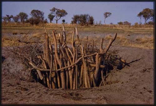 Waterhole filled with wood to protect from elephants