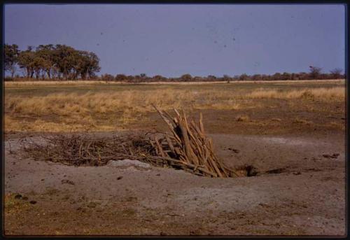 Waterhole filled with wood to protect from elephants