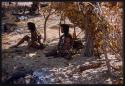 Two women sitting under a skerm; one woman holding a baby