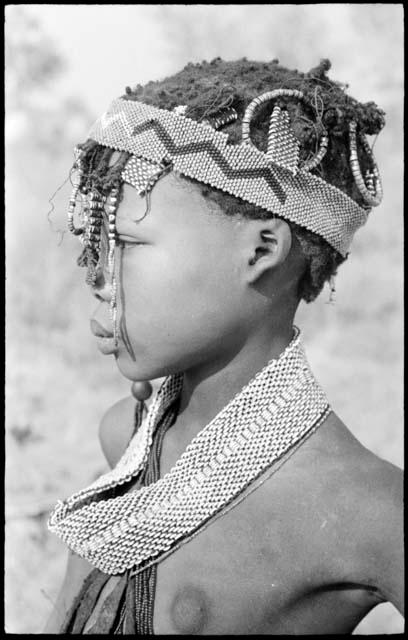 Profile portrait of N≠isa wearing ostrich eggshell beads around her neck, headband of European beads on her head, and a long band made of a tsi nut and beads hanging on the right side of her face