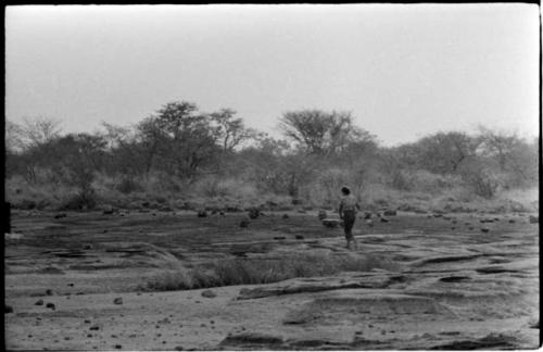 Elizabeth Marshall Thomas walking across the pan, seen from a distance