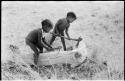 Bau (daughter of /Qui and //Khuga) and /Gaishay (son of "Gao Medicine" and Di!ai) chopping a log with axes