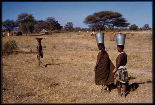 Women carrying buckets of water on their heads, view from behind