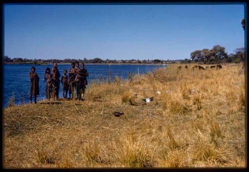 Group of people standing on a river bank