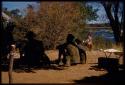 Group of people sitting in the shade, view from behind, with Deborah Marshall sitting in the background