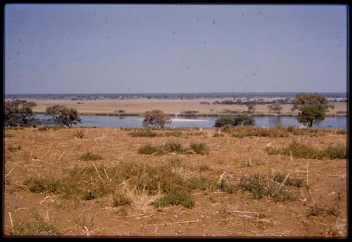 Okavango River at Mucusso