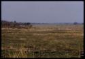 Landscape near the Tondo River