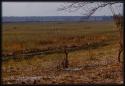 Marsh near the expedition camp