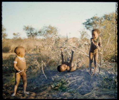 Children, Groups, play:  /Gaishay (son of ≠Toma and !U) lying on his back holding a branch, with "Little ≠Gao" (son of /Qui and //Kushay) and /Gaishay (son of Di!ai and "Gao Medicine") standing next to him