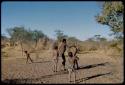 Children, Toys: Boys playing with a djani (helicopter toy), with a little boy wearing dance rattles in the distance