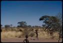 Children, Toys: Boys playing the djani (helicopter toy) game