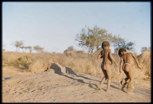 Children, Dancing: Two little boys dancing on a termite mound, one with dance rattles