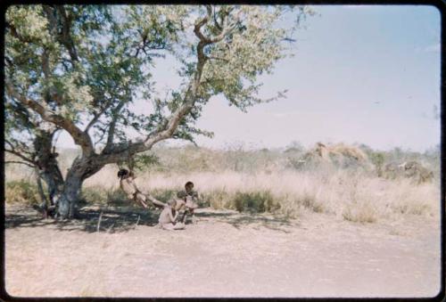 Children, Groups, play: Children playing under a tree, with a swing they put up