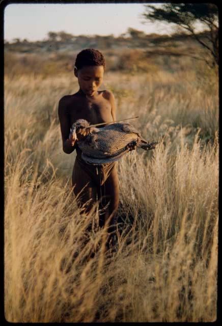 Children, Socialization--hunting, carrying: /Gishay holding a guinea fowl he has shot through the neck with an arrow