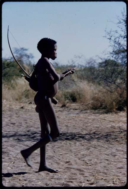 Children, Socialization--hunting, carrying: Boy walking, carrying a quiver and a bow