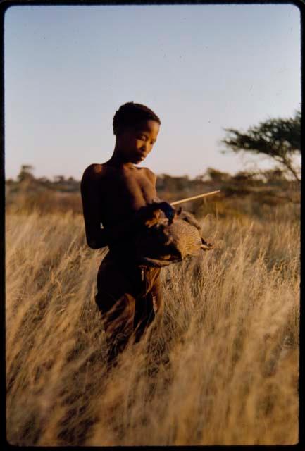 Children, Socialization--hunting, carrying: /Gishay holding a guinea fowl he has shot through the neck with an arrow