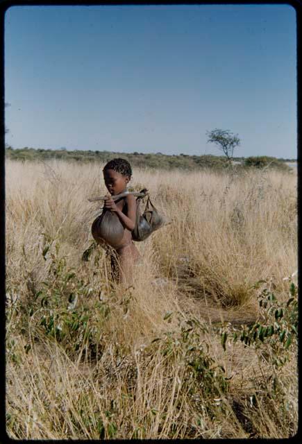 Children, Socialization--hunting, carrying: Child carrying water bags on a carrying stick over his shoulder