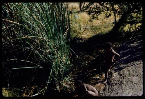 Children, Socialization--hunting, carrying: Two boys at the Gautscha waterhole