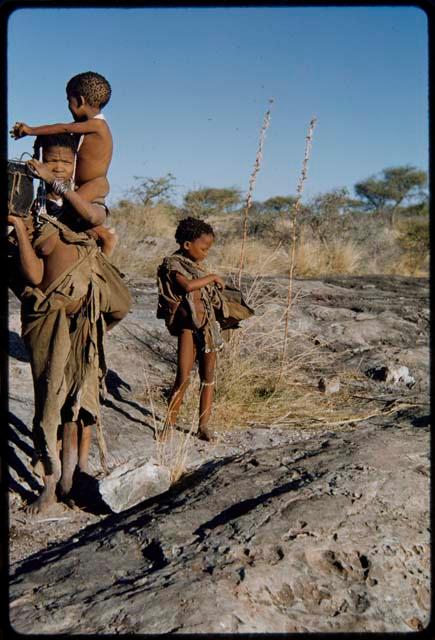 Children, Socialization--hunting, carrying: Woman with two children near a waterhole, carrying one of them on her shoulder