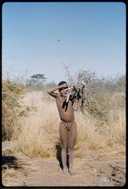 Children, Socialization--hunting, carrying: Boy carrying wood