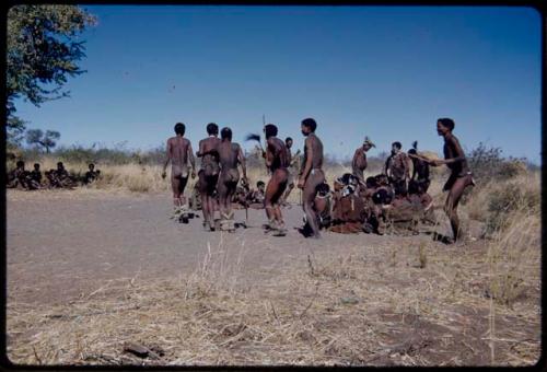 Dance: Men dancing clockwise at a daytime dance, with /Gam (wife of "Old ≠Toma") dancing (the primary role of the women is to sit in a circle to clap and sing, providing music for the dancing men)