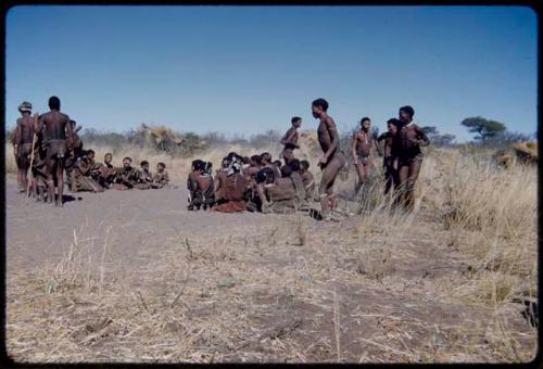 Dance: Men dancing clockwise around an open circle of women at a daytime dance, with /Gam dancing and Gau holding another man's arm (the primary role of the women is to sit in a circle to clap and sing, providing music for the dancing men)