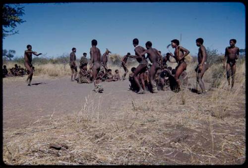 Dance: Men dancing clockwise around an open circle of women at a daytime dance, with /Gam dancing and Gau holding another man's arm (the primary role of the women is to sit in a circle to clap and sing, providing music for the dancing men)