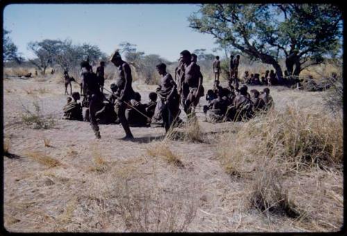 Dance: Line of men dancing through the circle of women sitting at a daytime dance, with three men walking toward a tree, having left the dancers