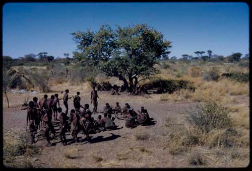 Dance: //Khuga (wife of !Naishi) with a feather in her hair, dancing with the men at a daytime dance, view from the expedition truck with a wide-angle lens (the primary role of the women is to sit in a circle to clap and sing, providing music for the dancing men)